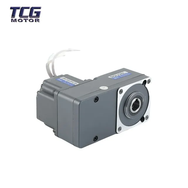 brushless motor with brake